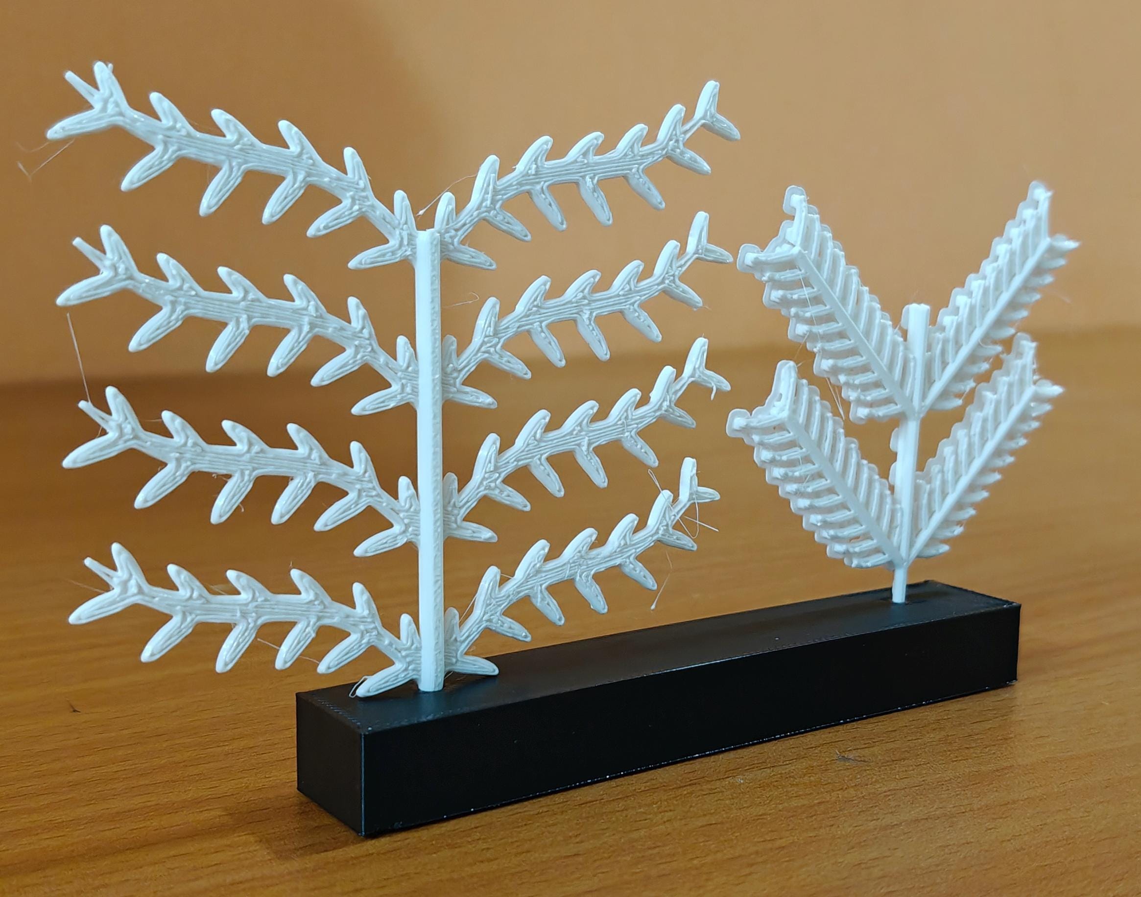 Scientific Bird Feather Model | Barb & Barbule Anatomy | Educational Biology Display | Avian Science Teacher Gift