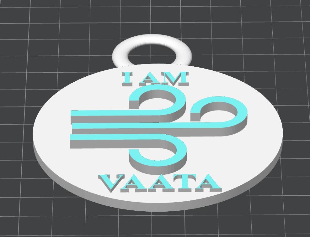 Custom Ayurvedic "Vata Prakriti" Dual-Tone Keychain | Wellness Professional ID Accessory | Personalized Dosha Personality Gift