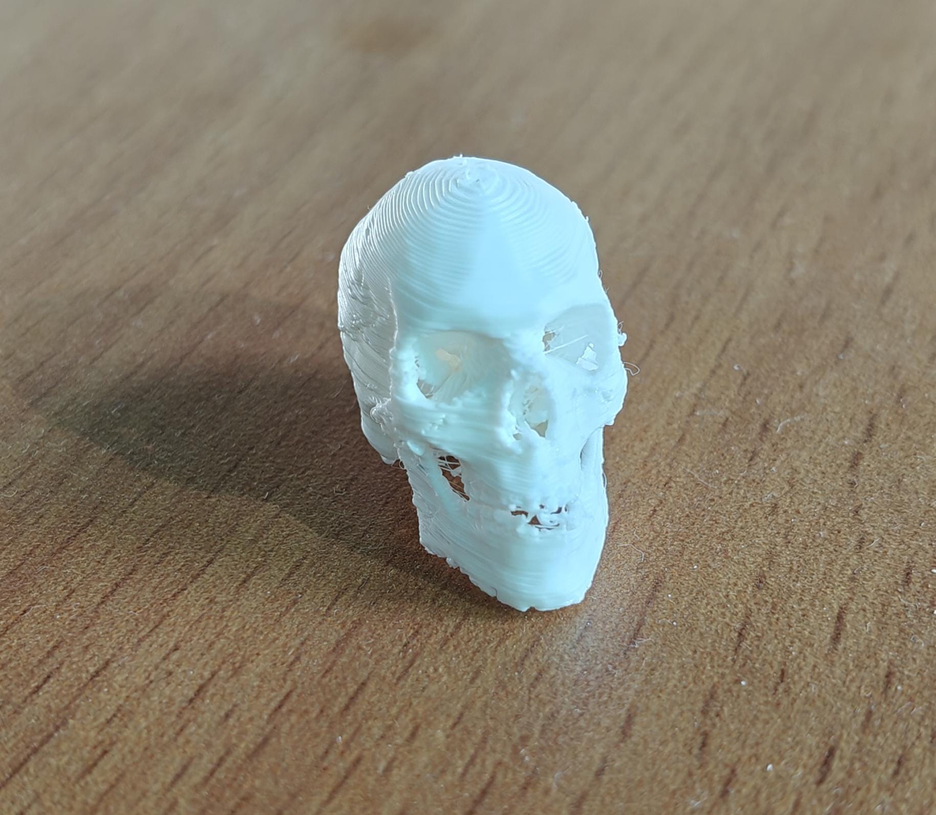 20-Part Disarticulated Human Skull Model | Medical Anatomy Study Set