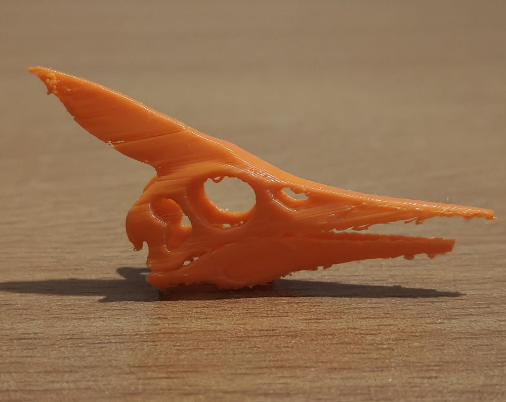 Minimalist Pteranodon Head Sculpture | Prehistoric Reptile, Museum-Style Decor
