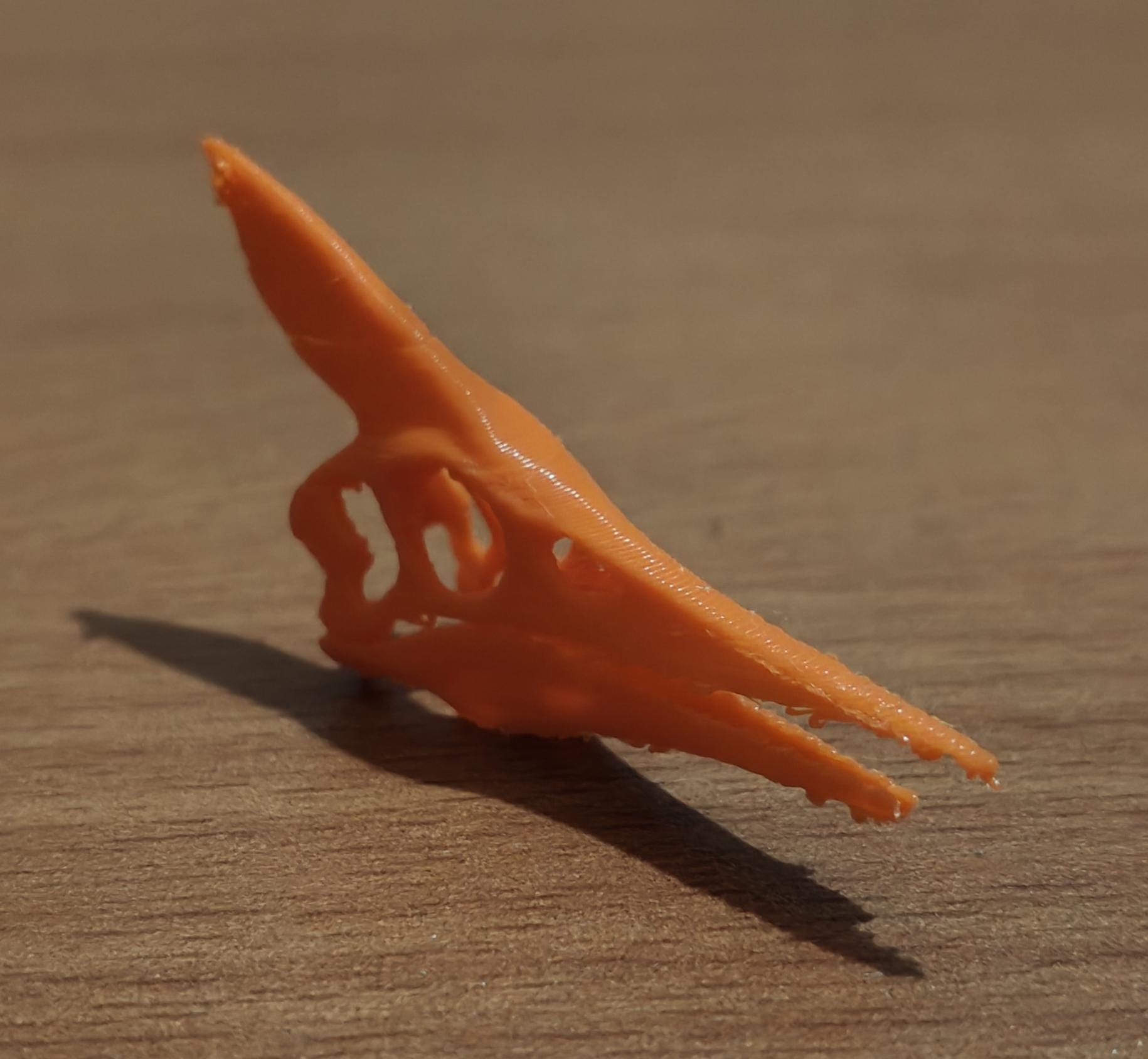 Minimalist Pteranodon Head Sculpture | Prehistoric Reptile, Museum-Style Decor