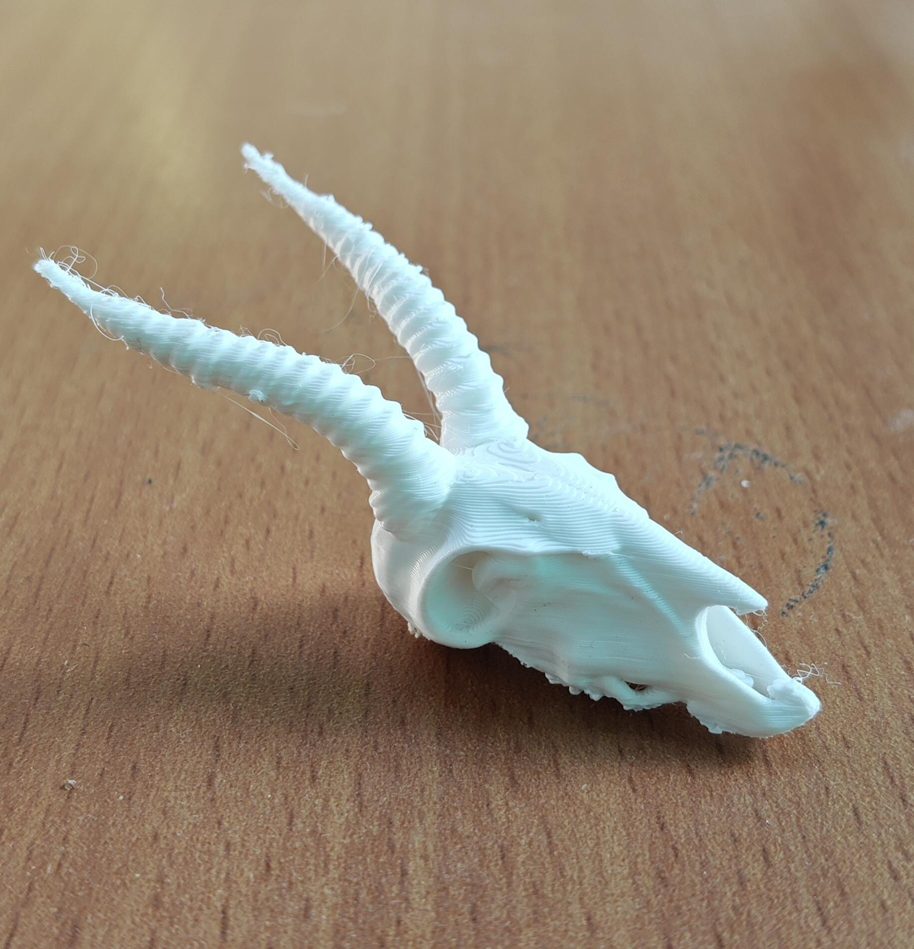 Antelope Skull Replica | Spiraled Horn African Wildlife Anatomy Display (170mm)