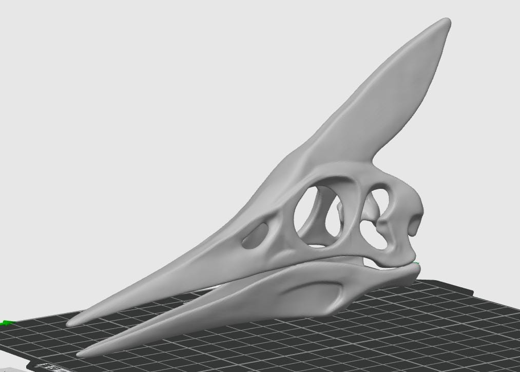 Minimalist Pteranodon Head Sculpture | Prehistoric Reptile, Museum-Style Decor