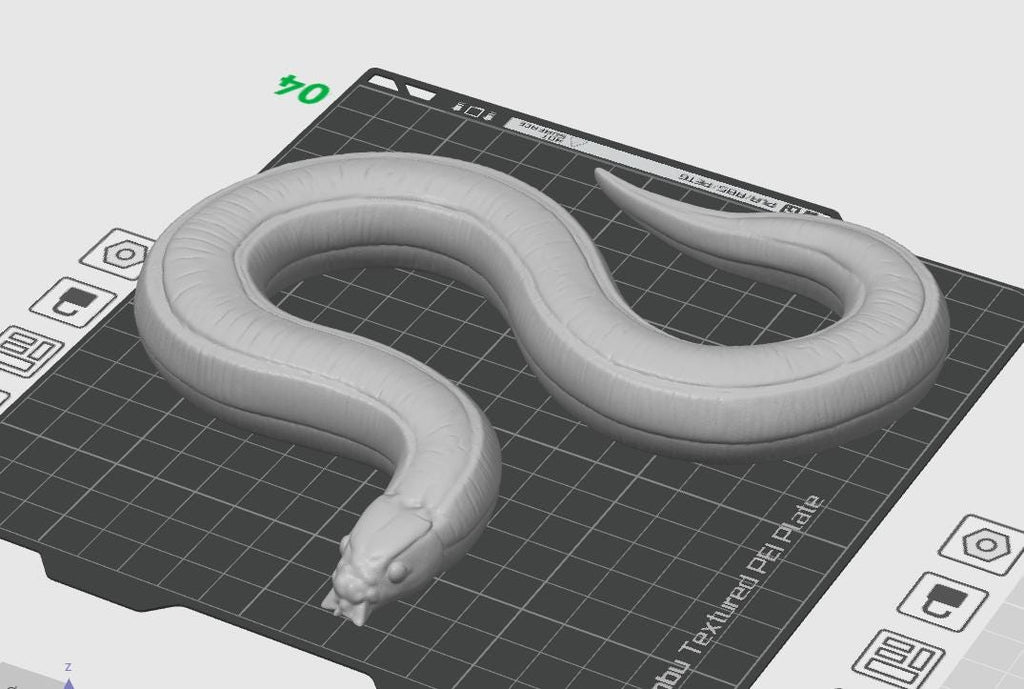 C. elegans Model | Professional Nematode Research Sculpture | Printed Biological Model | Gift for Geneticists & Neuroscientists
