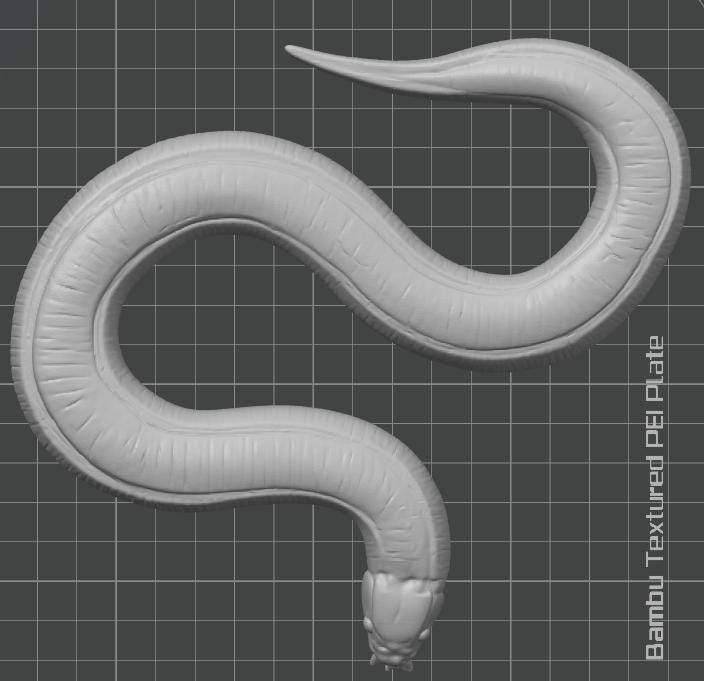 C. elegans Model | Professional Nematode Research Sculpture | Printed Biological Model | Gift for Geneticists & Neuroscientists