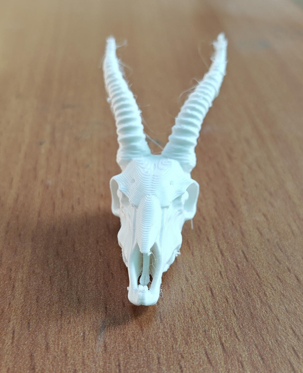 Antelope Skull Replica | Spiraled Horn African Wildlife Anatomy Display (170mm)