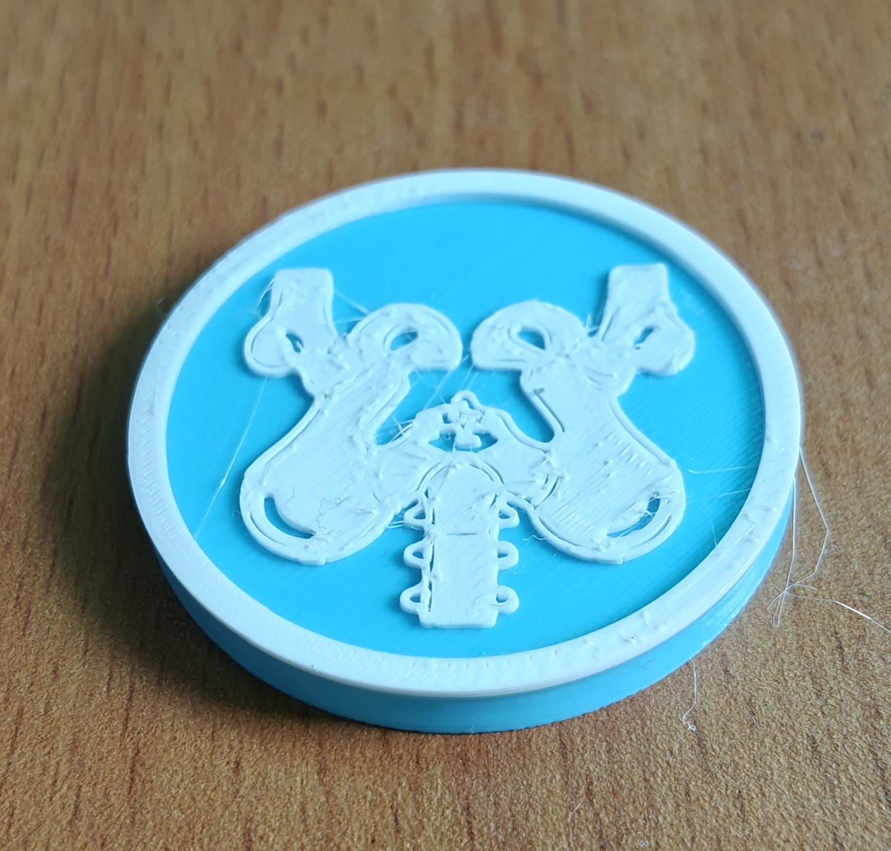 Pelvis Bone Coaster Set | Pack of 5 | 100mm Heat-Resistant PETG
