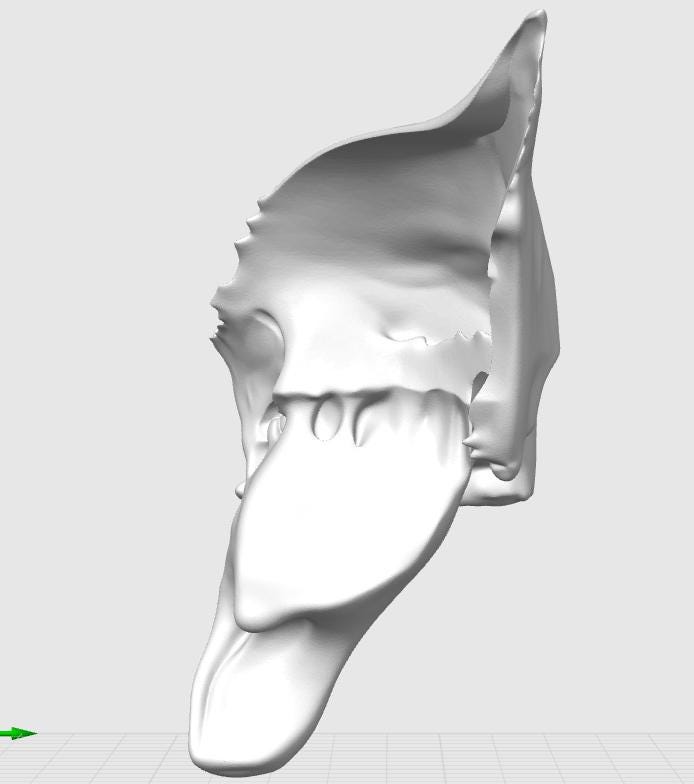 1:1 Scale Sphenoid Bone Model | Human Skull Anatomy Specimen, Medical Education Cranial Bone Study