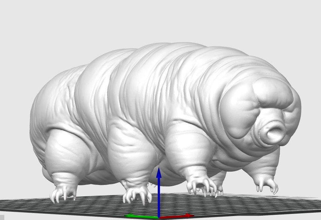 Giant Tardigrade Sculpture | Realistic Water Bear Scientific Model, 175mm Desk Art