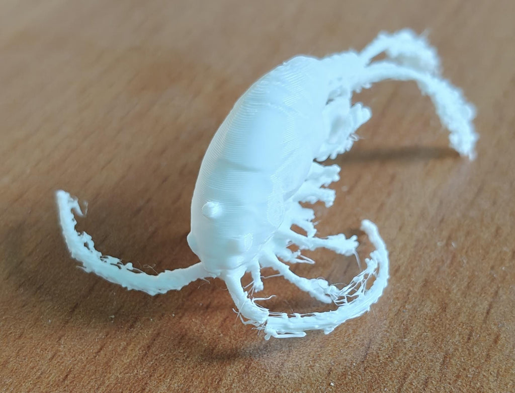 Copepod Crustacean Model | Marine Plankton Sculpture | Biology Replica | Gift for Medical