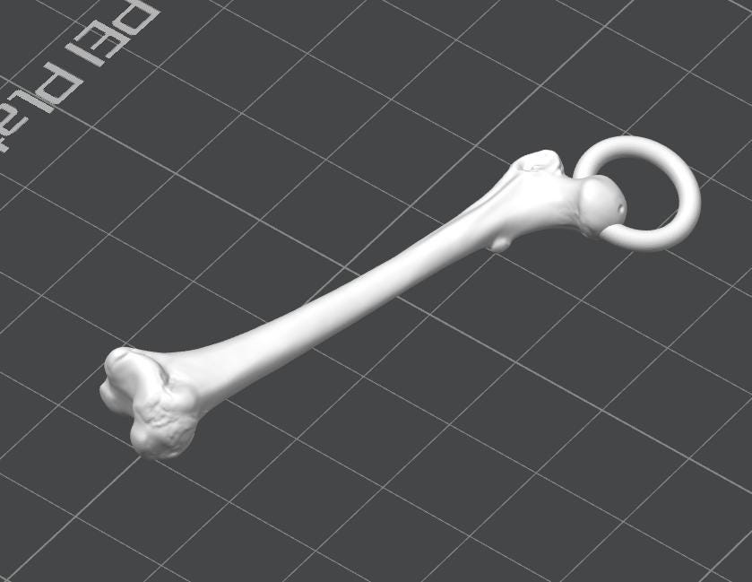 Anatomical Femur Keychain | 30mm Osteology Accessory | Medical Student & Orthopedic Gift | Lightweight Everyday Carry