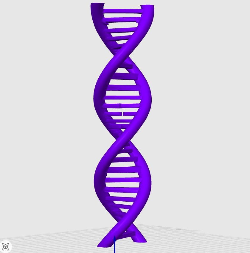 DNA Double Helix Model | Genetic Structure Sculpture | Science Lab Decor | Biology Teacher Graduation Gift