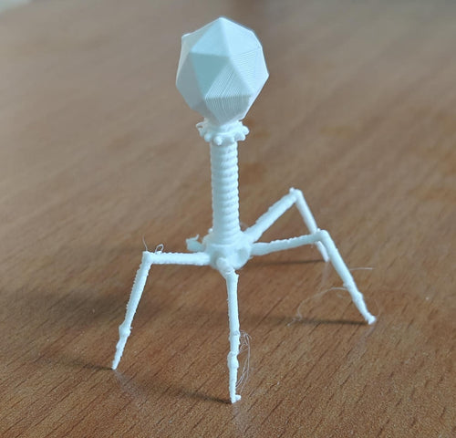 175mm Bacteriophage T4 Model | Virus Sculpture Gift