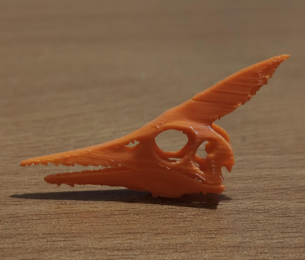 Minimalist Pteranodon Head Sculpture | Prehistoric Reptile, Museum-Style Decor