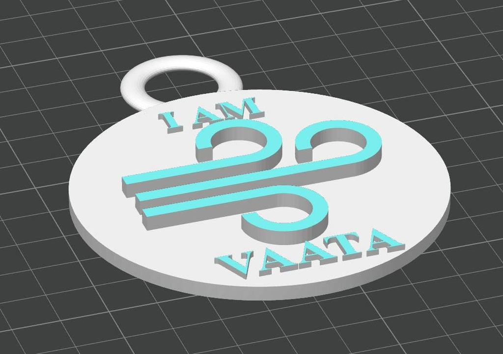 Custom Ayurvedic "Vata Prakriti" Dual-Tone Keychain | Wellness Professional ID Accessory | Personalized Dosha Personality Gift