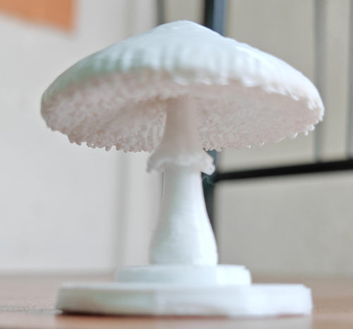 100mm Parasol Mushroom Sculpture | Macrolepiota procera Fungal Model, Mycology Gift