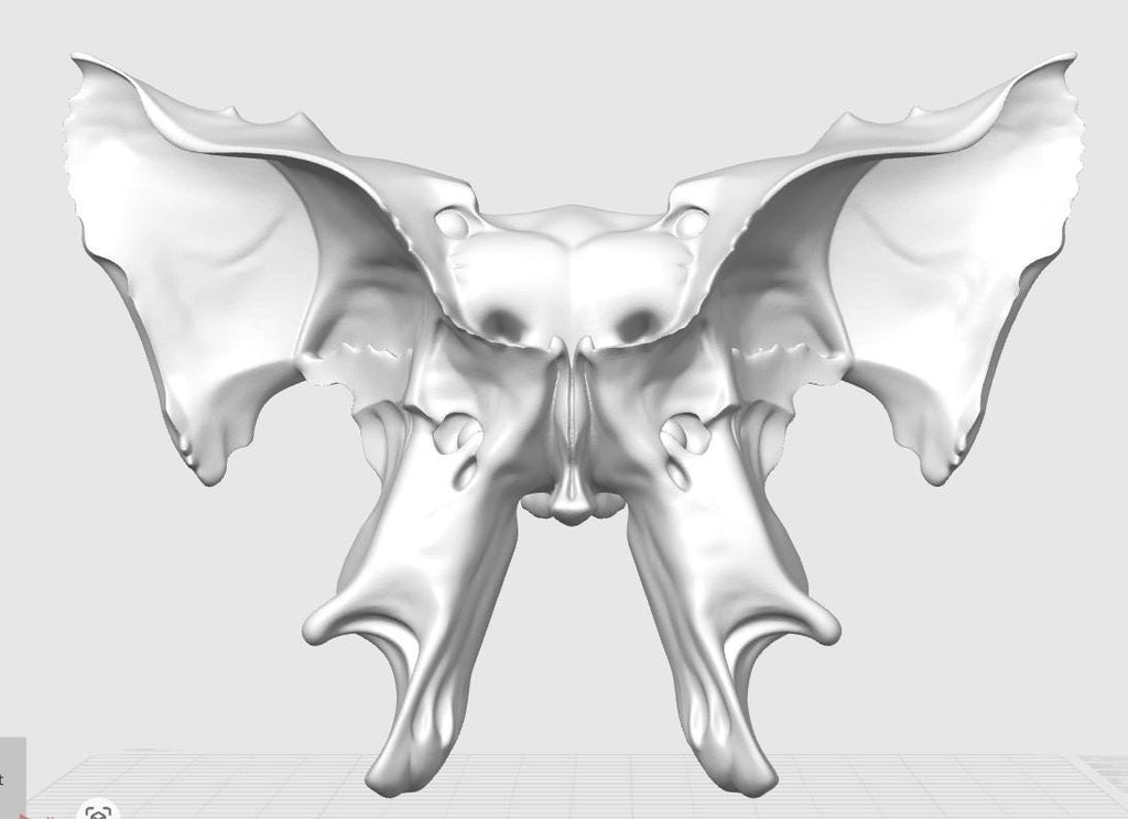 1:1 Scale Sphenoid Bone Model | Human Skull Anatomy Specimen, Medical Education Cranial Bone Study