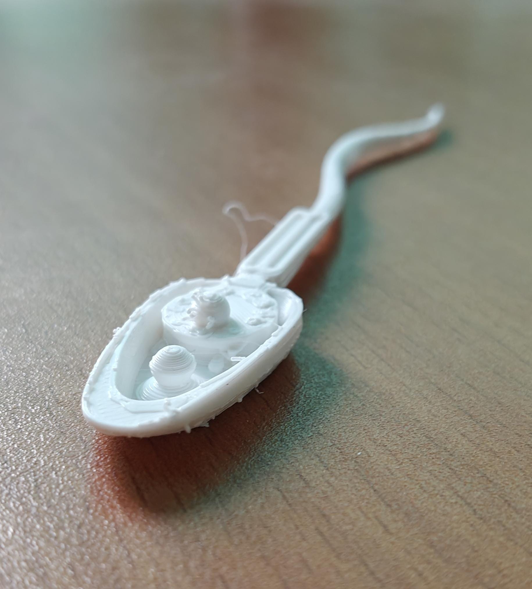Human Sperm Anatomy Model | Reproductive Science Display | Medical Biology Study Aid | Fertility Specialist Decor