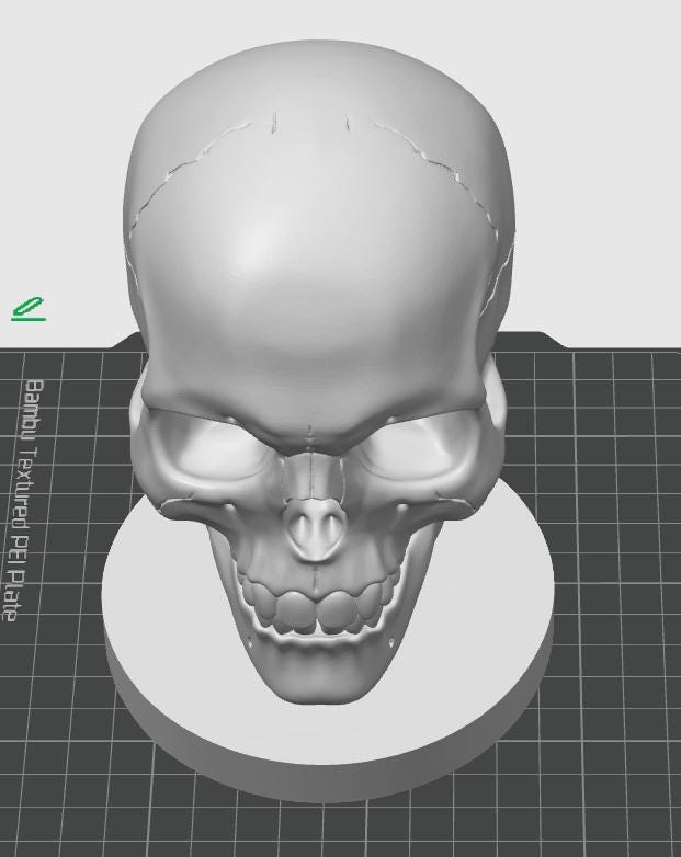 Human Skull Model | Anatomical Medical Study Replica | Life Size Skull Sculpture | Science Classroom Decor