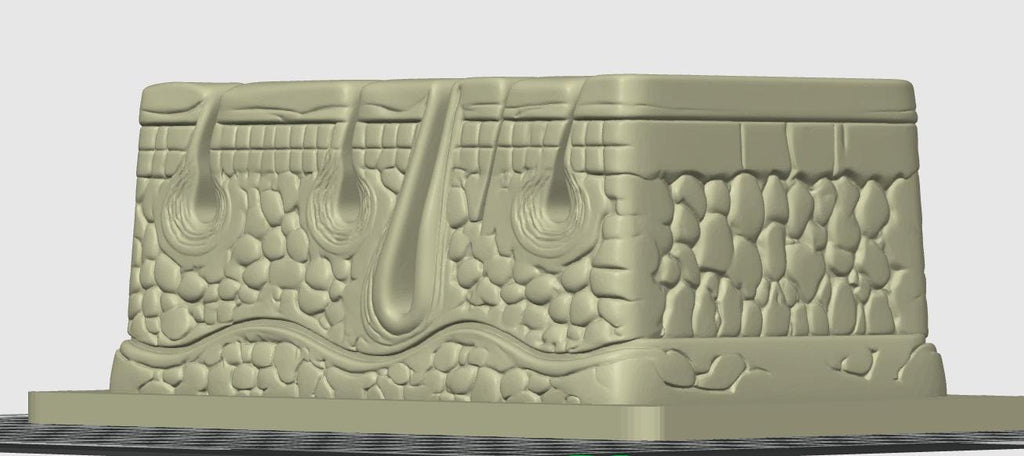 Dermatology Business Card Holder | Skin Specialist Gift | Dermatologist Office Decor | Unique Medical Desk Accessory