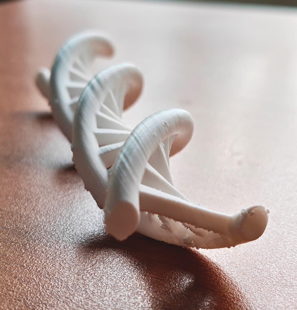DNA Double Helix Model | Genetic Structure Sculpture | Science Lab Decor | Biology Teacher Graduation Gift