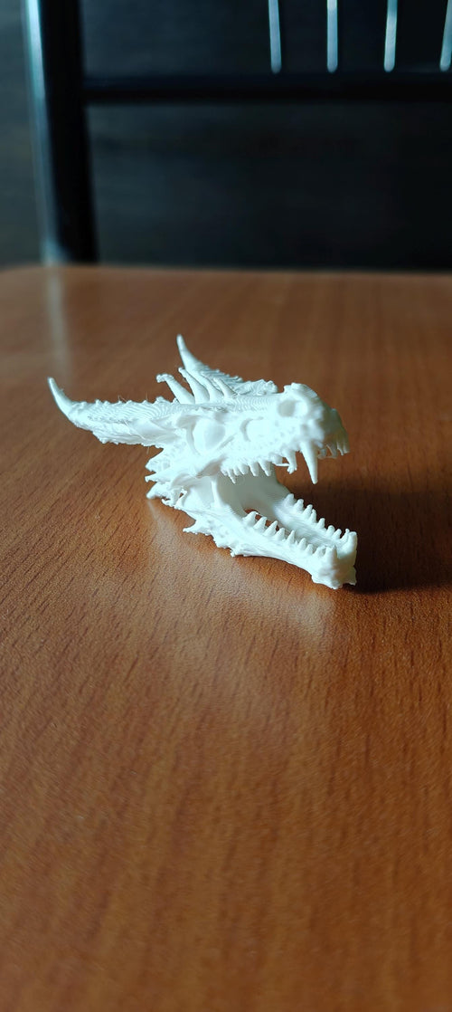 Anatomical Dragon Skull Fossil | Dragon Bone Desk Decor | D&D Fantasy Prop | Mythical Creature Skeleton