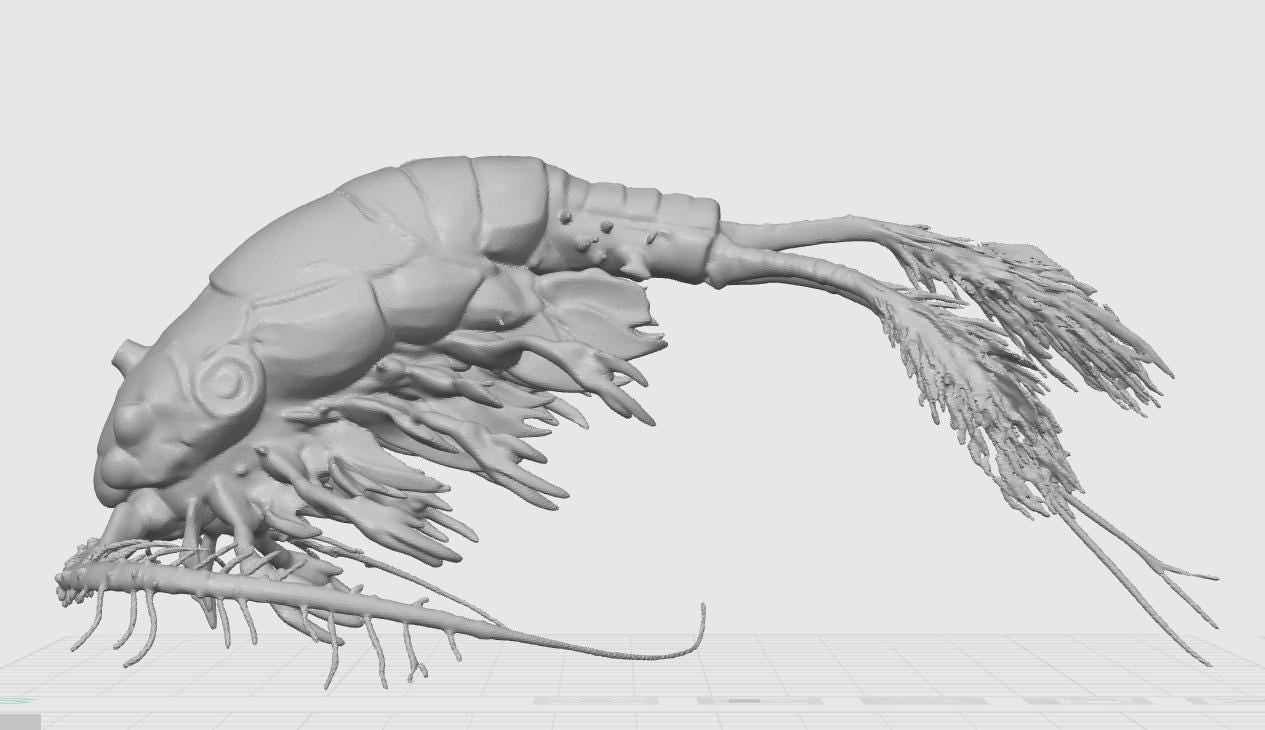 Copepod Crustacean Model | Marine Plankton Sculpture | Biology Replica | Gift for Medical