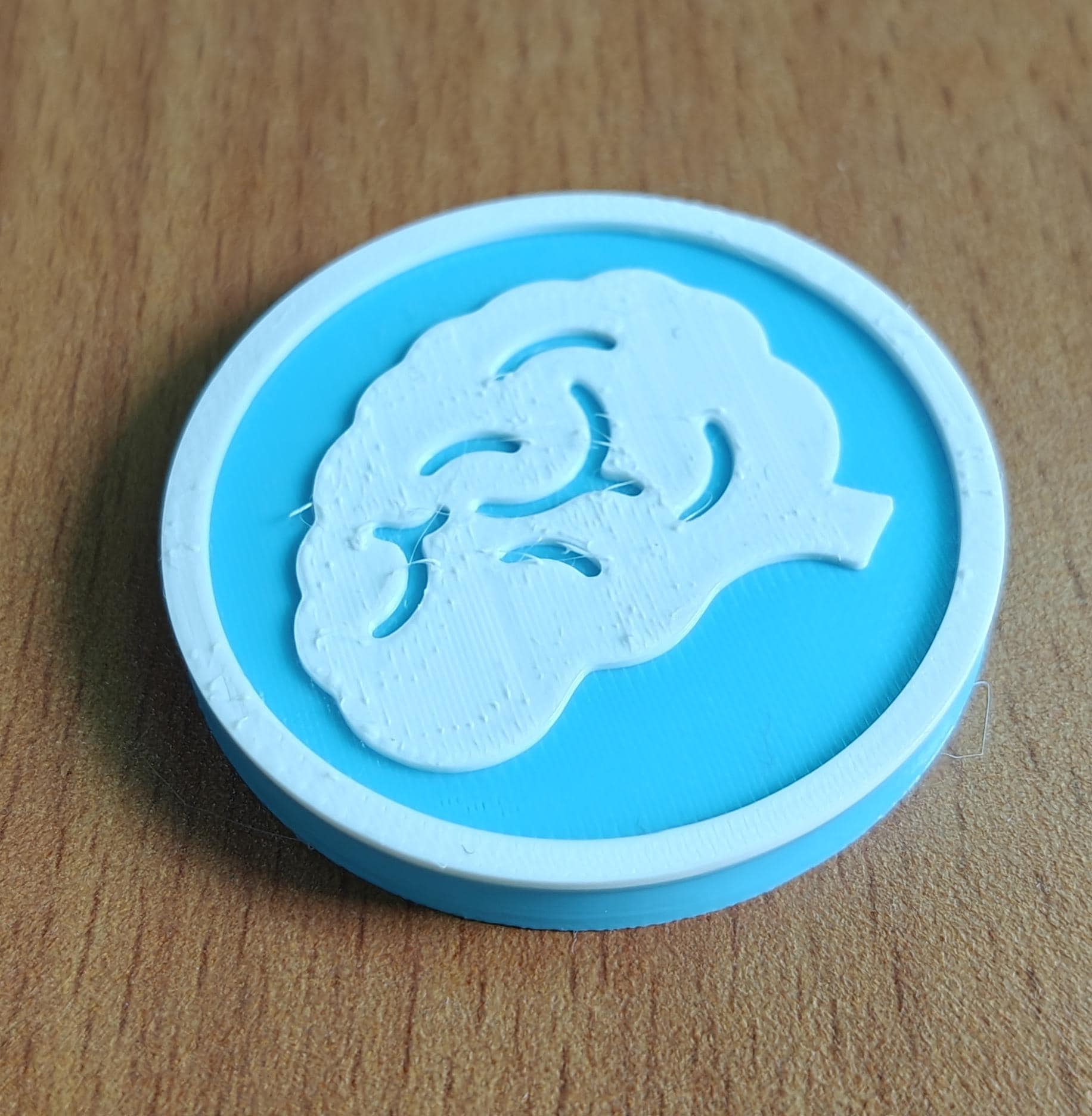 Brain Coaster Set | Pack of 5 | 100mm Heat-Resistant PETG