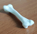 Anatomical Chicken Tibia Bone Model | Life-Size Avian Skeletal Replica, Zoology Study Aid