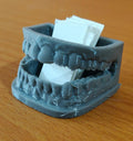 Anatomical Molar Card Holder | Dentist Business Card Stand, Dental Office Decor