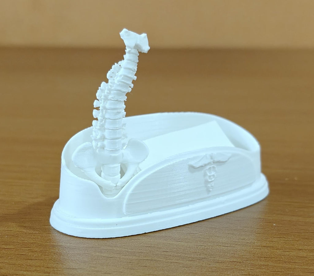 Spinal Column Business Card Holder | Chiropractor Office Decor | Spine Anatomy Desk Accessory | Orthopedic Gift