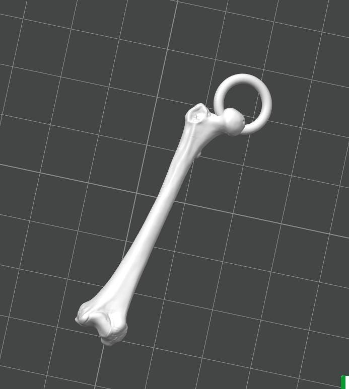 Anatomical Femur Keychain | 30mm Osteology Accessory | Medical Student & Orthopedic Gift | Lightweight Everyday Carry
