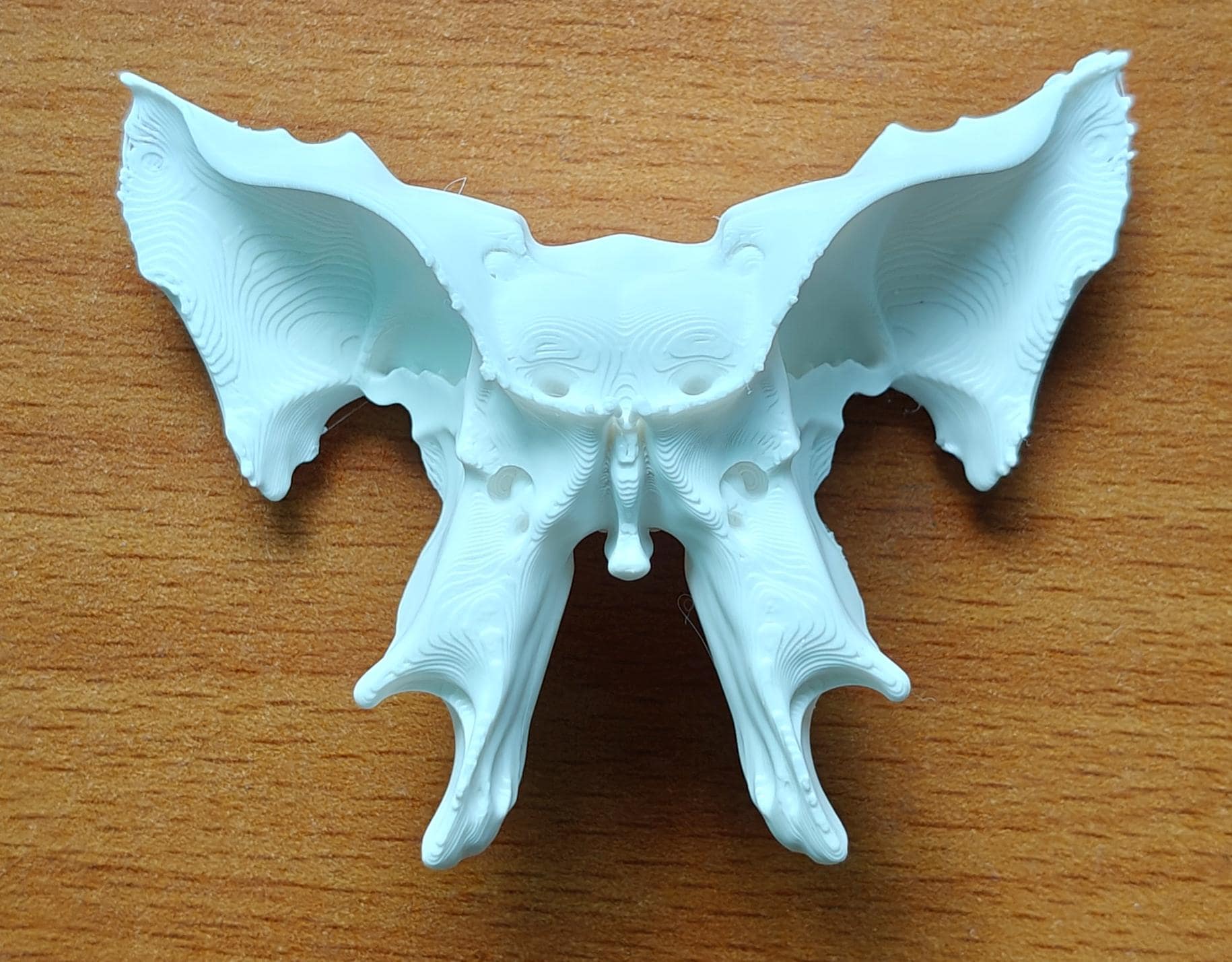 1:1 Scale Sphenoid Bone Model | Human Skull Anatomy Specimen, Medical Education Cranial Bone Study