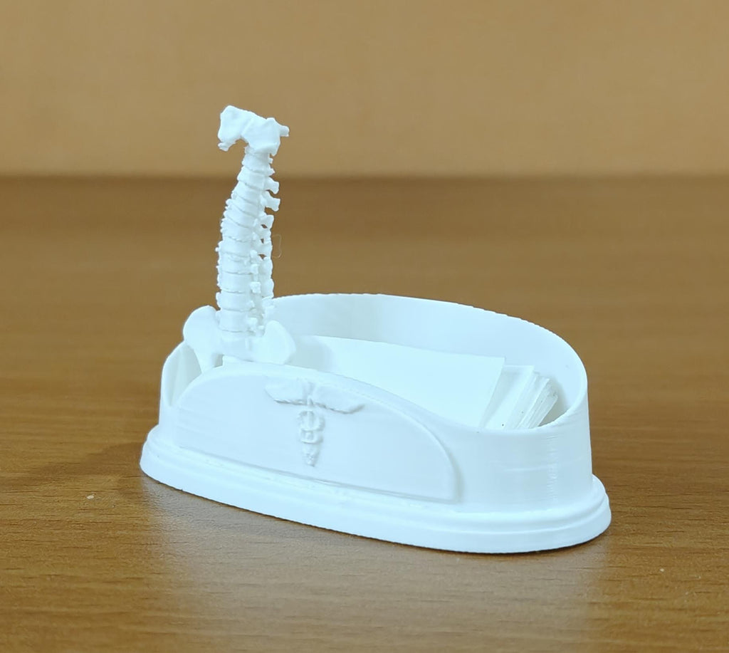 Spinal Column Business Card Holder | Chiropractor Office Decor | Spine Anatomy Desk Accessory | Orthopedic Gift