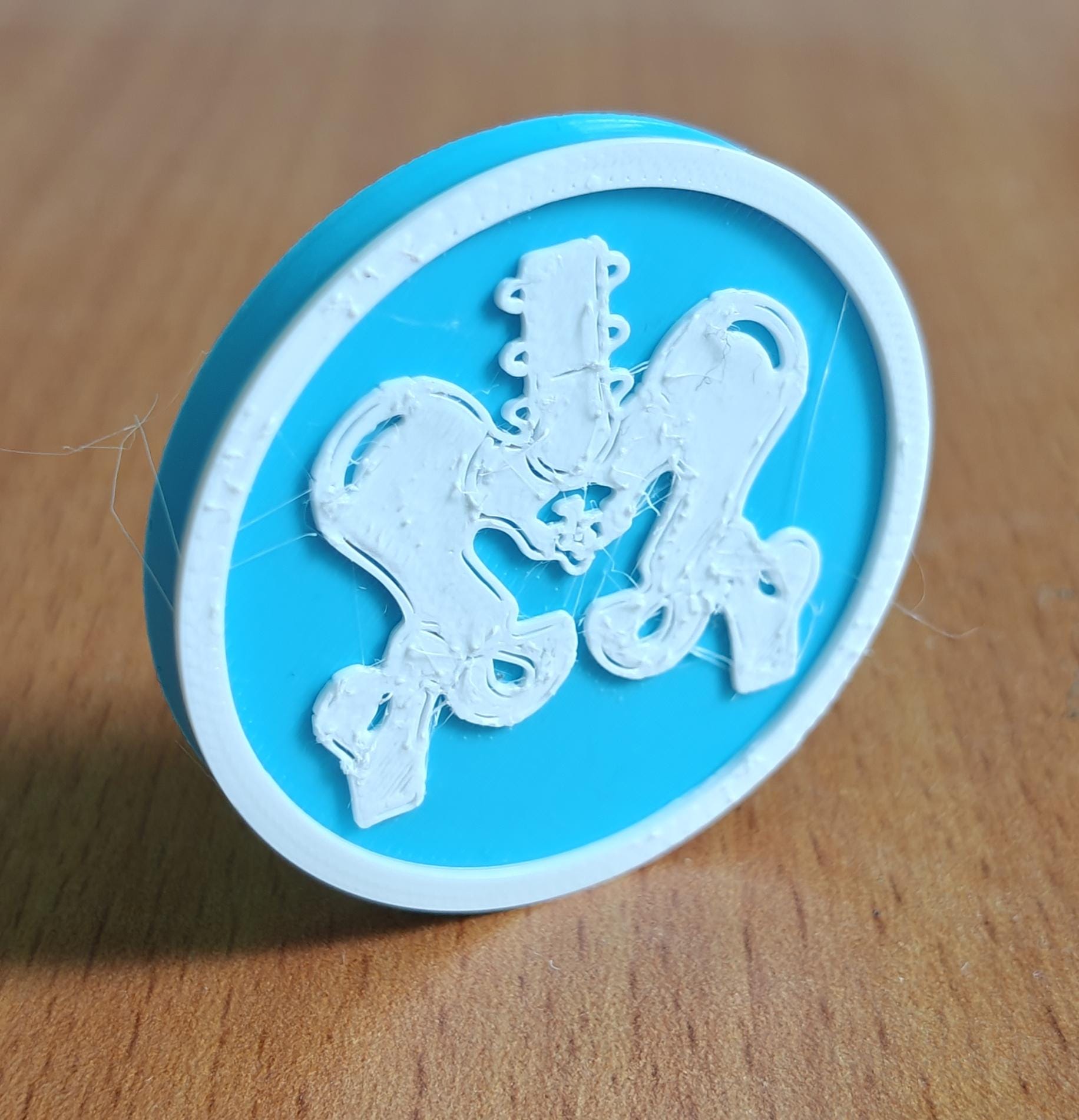 Pelvis Bone Coaster Set | Pack of 5 | 100mm Heat-Resistant PETG