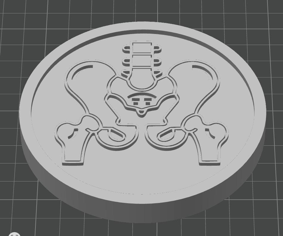Pelvis Bone Coaster Set | Pack of 5 | 100mm Heat-Resistant PETG