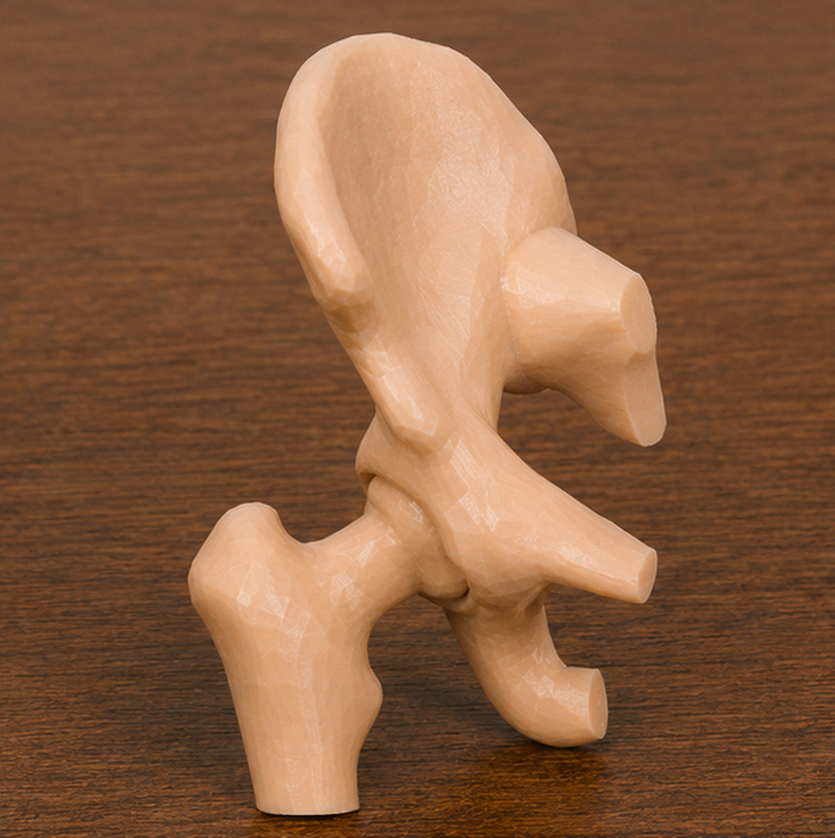 Anatomical Human Hip Joint Model | Rigid Femoral Head and Acetabulum | Orthopedic Surgery & Physical Therapy Display | 175mm or 245mm