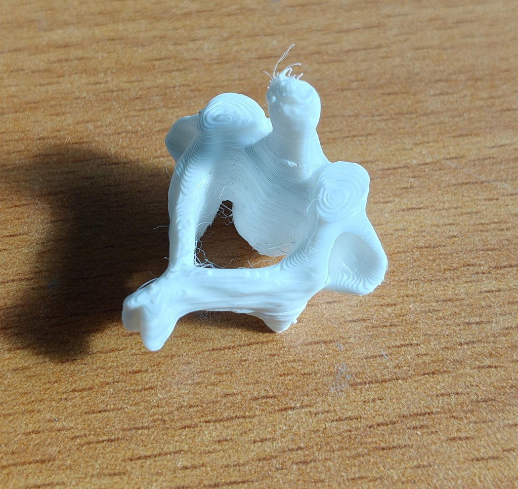 Human Vertebrae Individual Models - Atlas, Axis, Cervical, Thoracic, Lumbar Spine Osteology