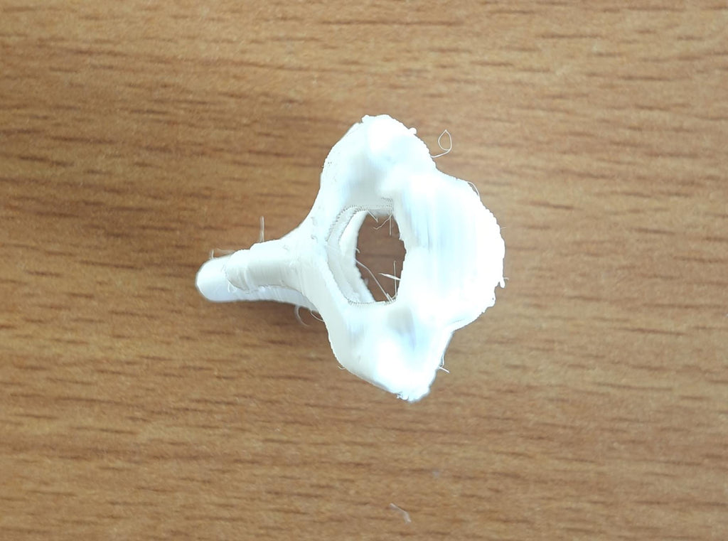 Anatomical Cervical Spine Model C1-C7 | Medical Education Osteology Prop (175mm or 240mm)