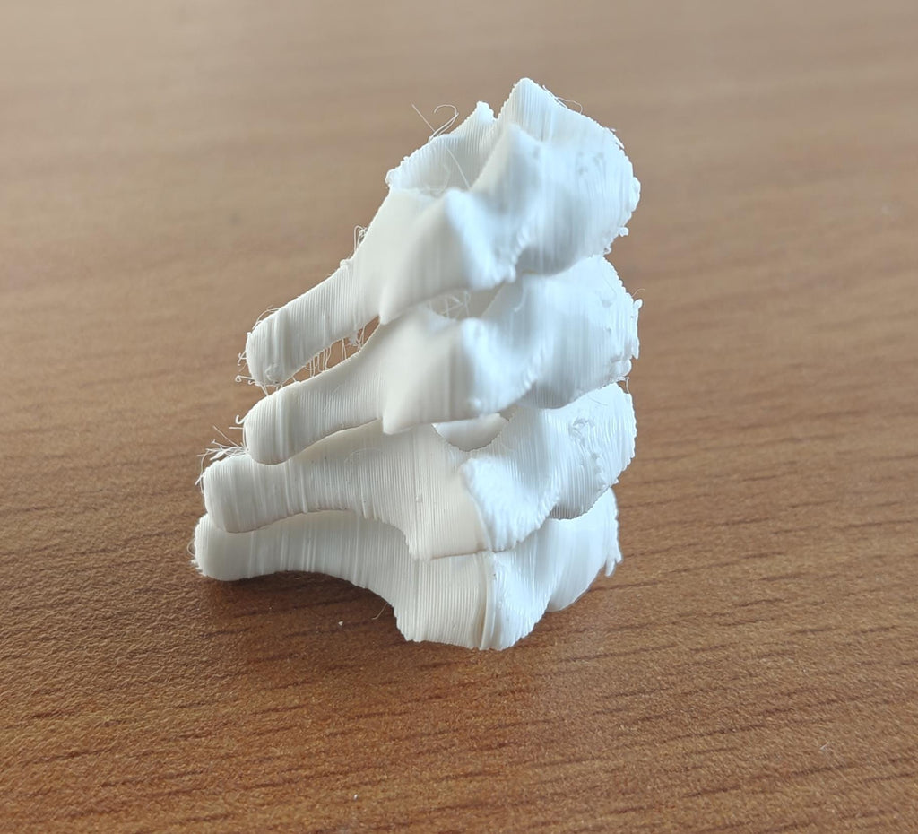 Anatomical Cervical Spine Model C1-C7 | Medical Education Osteology Prop (175mm or 240mm)