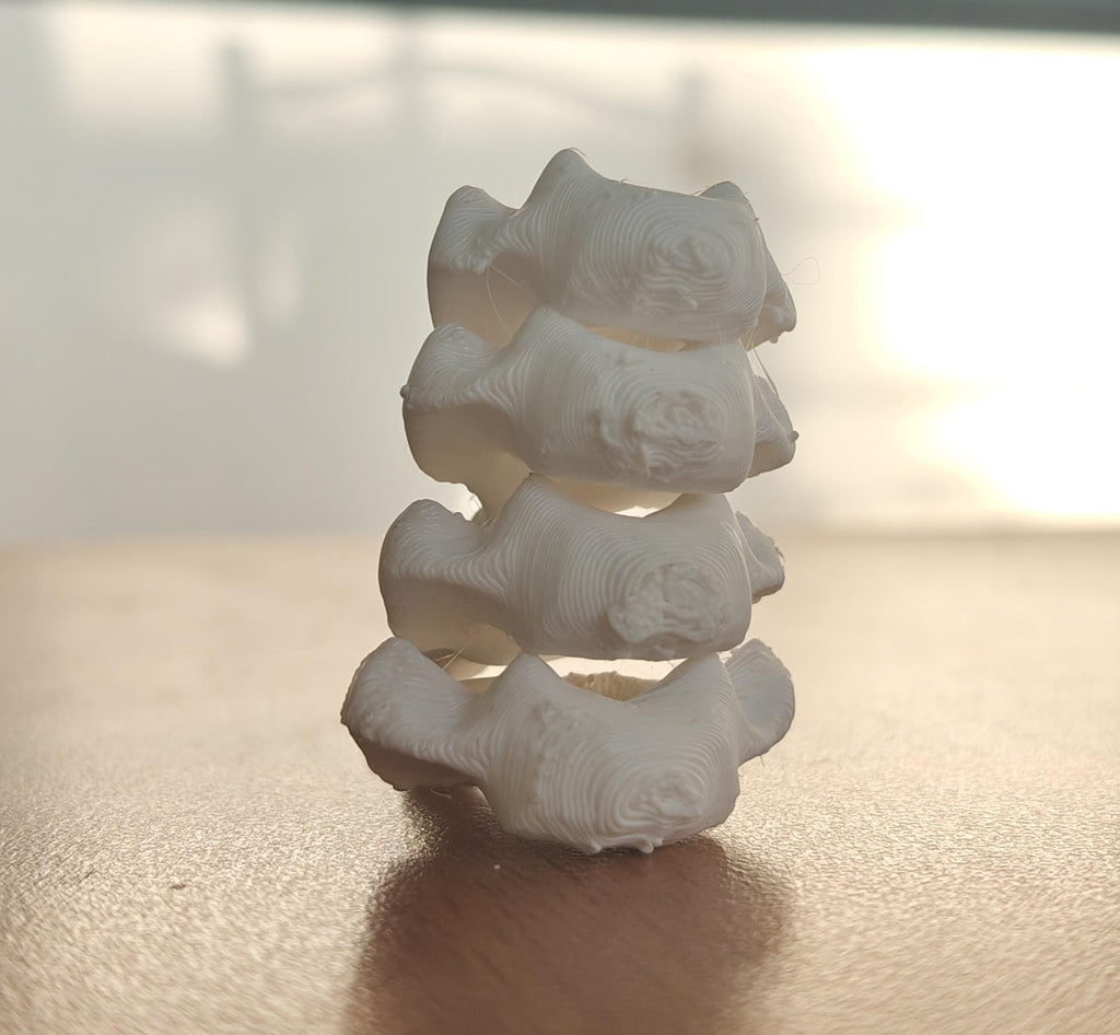Anatomical Cervical Spine Model C1-C7 | Medical Education Osteology Prop (175mm or 240mm)