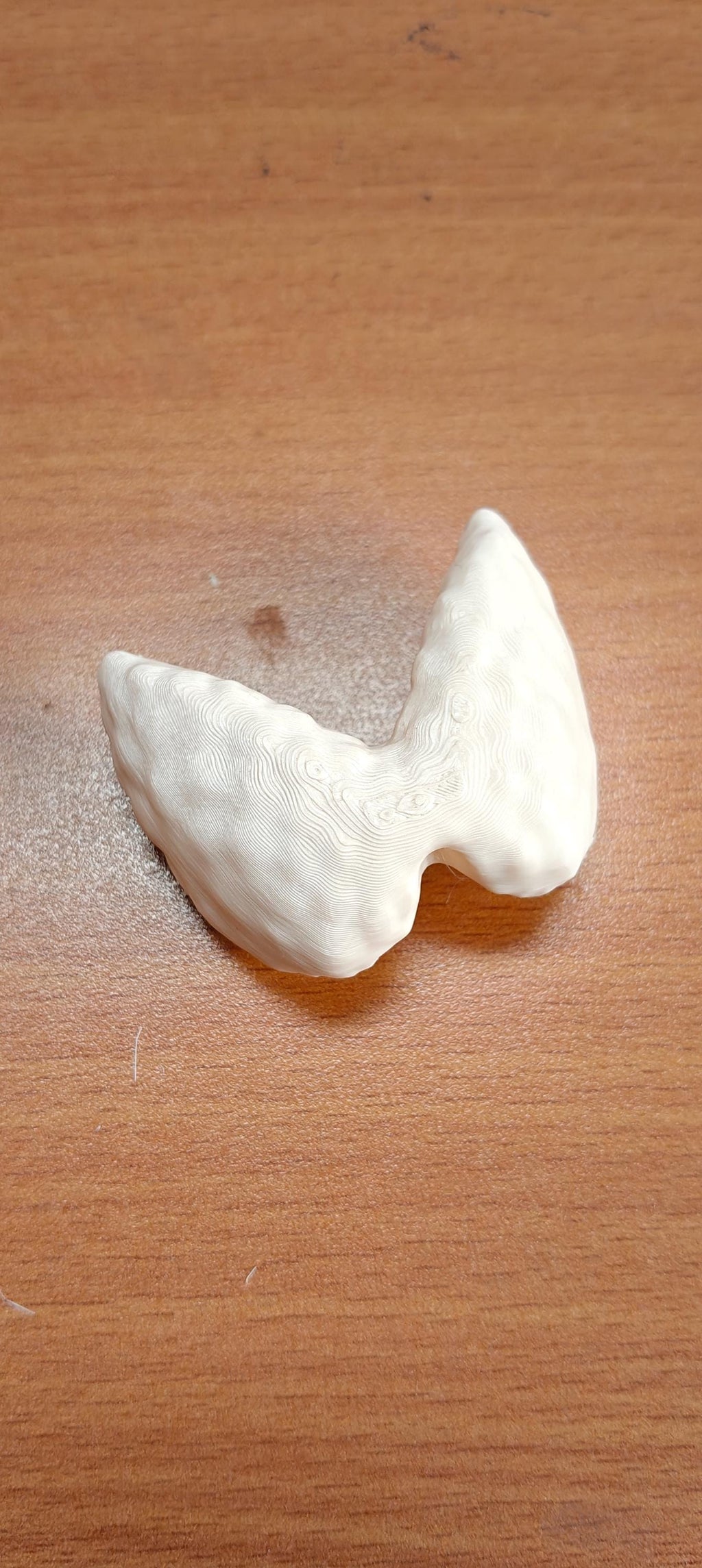 Anatomical Thyroid Gland Model | Medical Education Prop, Endocrinology Specialist Display (175mm/245mm)