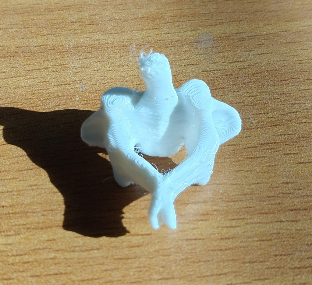 Human Vertebrae Individual Models - Atlas, Axis, Cervical, Thoracic, Lumbar Spine Osteology