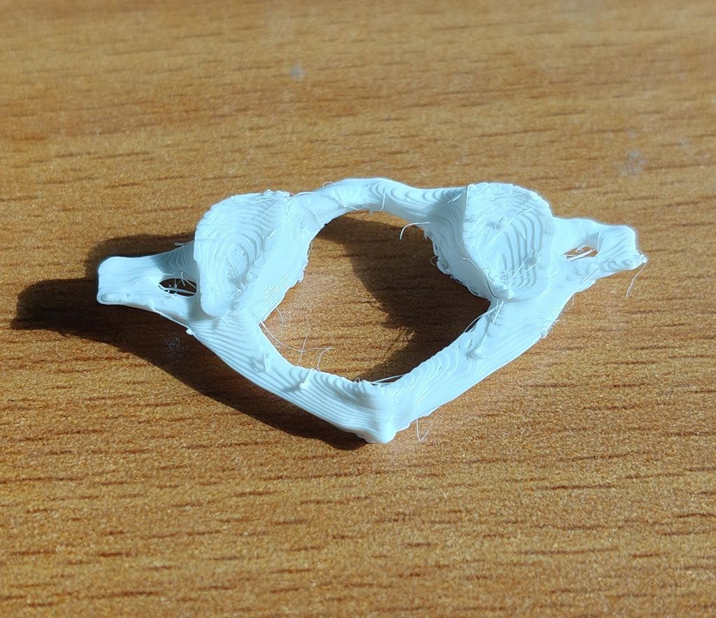 Human Vertebrae Models Set | Atlas, Axis, Cervical, Thoracic, Lumbar Osteology (170mm or 240mm)