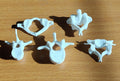 Human Vertebrae Models Set | Atlas, Axis, Cervical, Thoracic, Lumbar Osteology (170mm or 240mm)