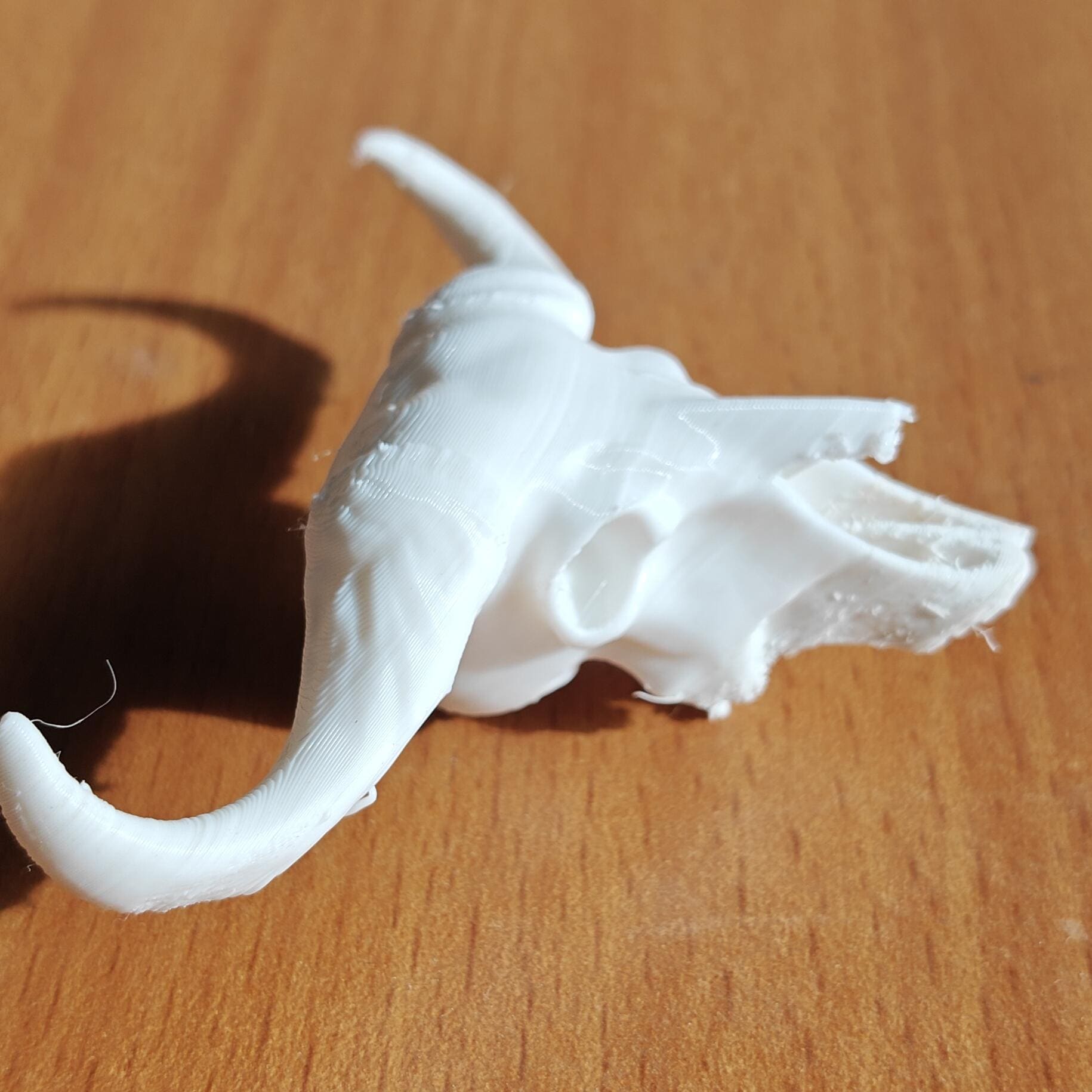 Buffalo Skull Sculpture | American Bison Skeletal Decor (175mm or 250mm)