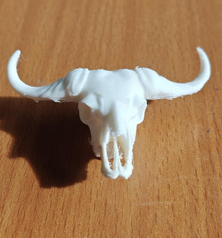 Animals Anatomical Models