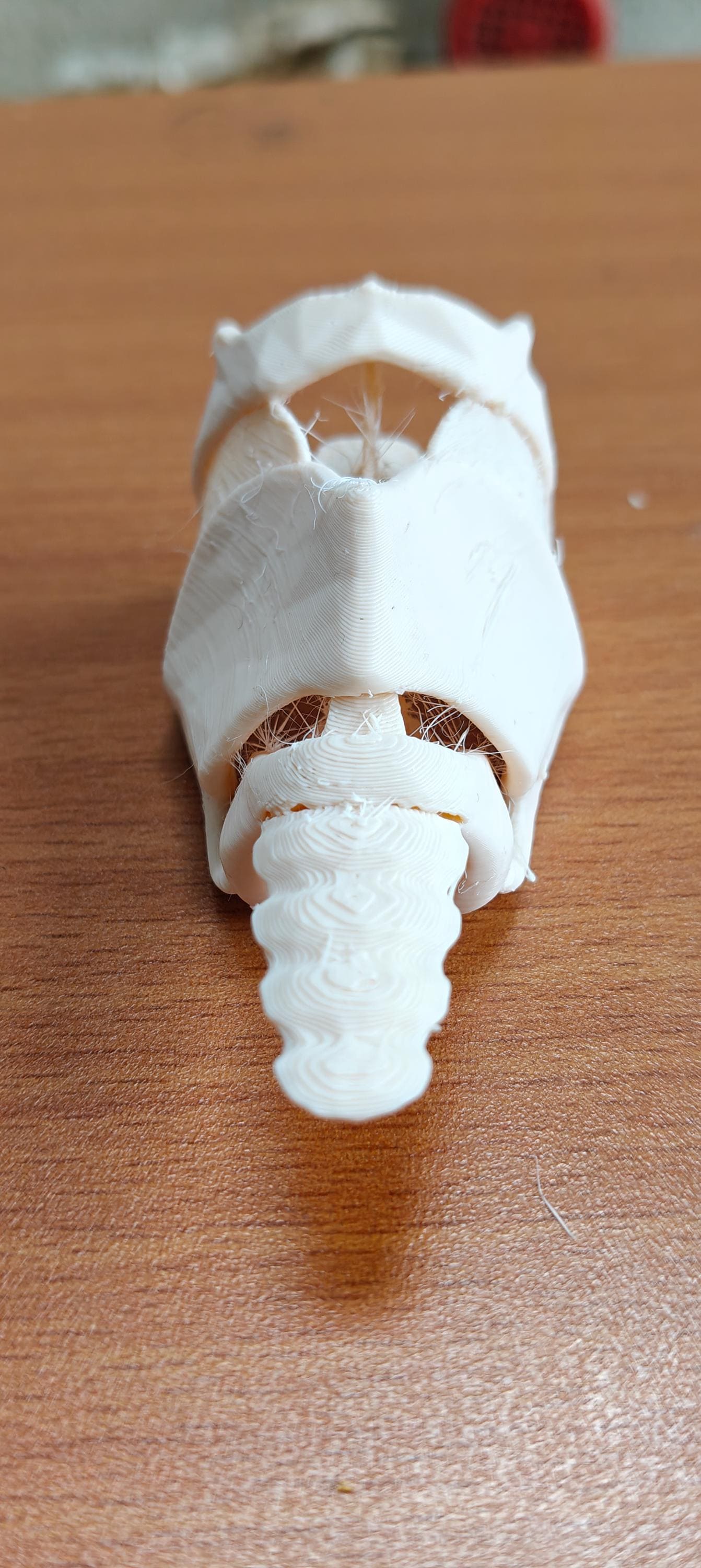 Human Larynx Model | Voice Box Anatomy Display, ENT Speech Therapy Prop (175mm/245mm)