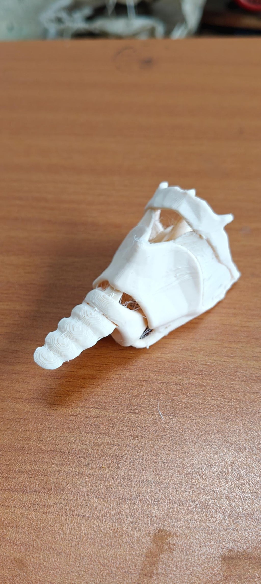 Human Larynx Model | Voice Box Anatomy Display, ENT Speech Therapy Prop (175mm/245mm)