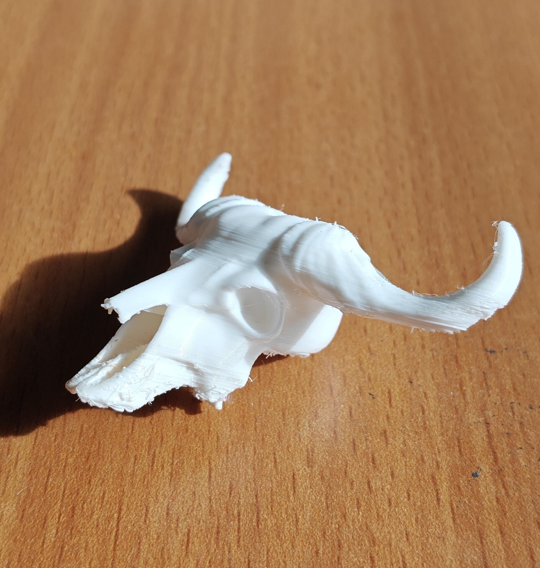 Buffalo Skull Sculpture | American Bison Skeletal Decor (175mm or 250mm)